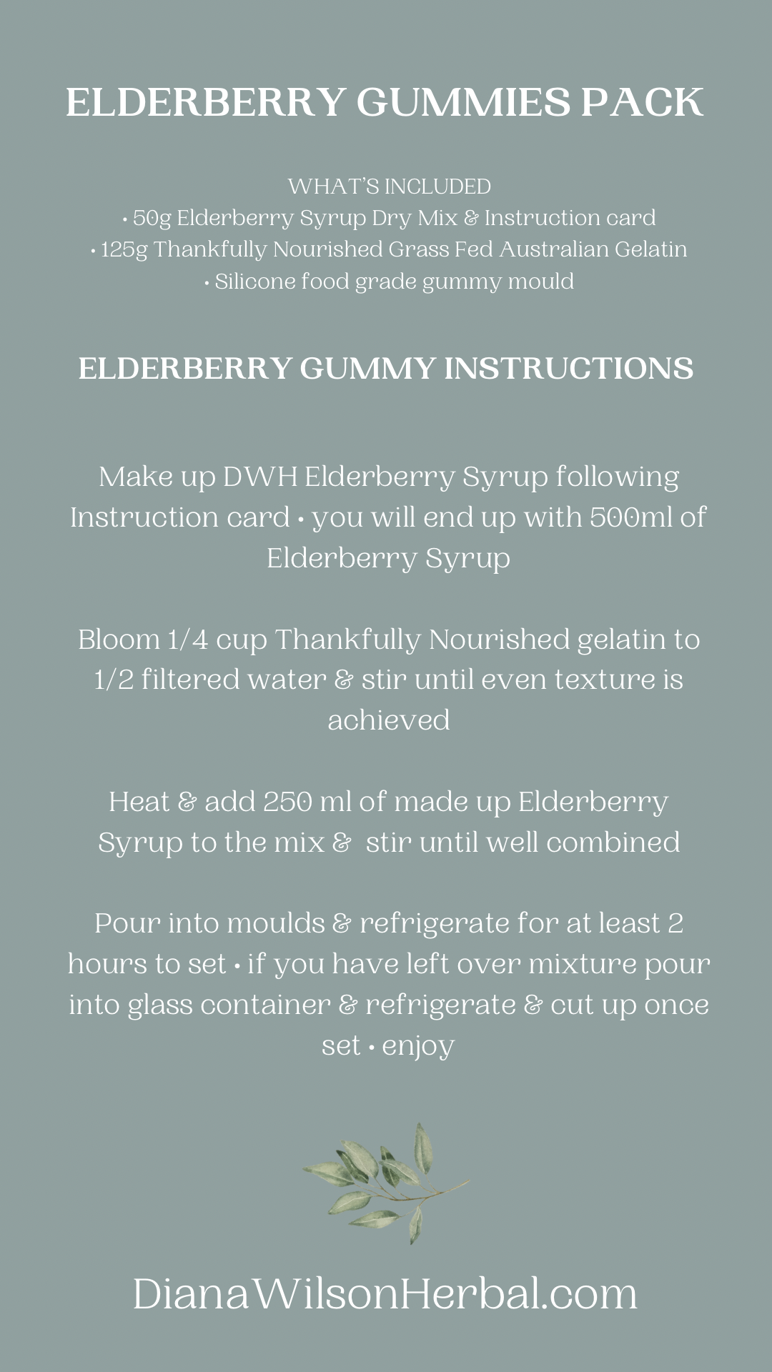Elderberry Gummy Kit